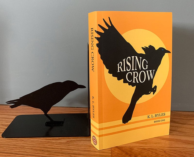 Fiction Book Cover Design bold illustration with crow and sun