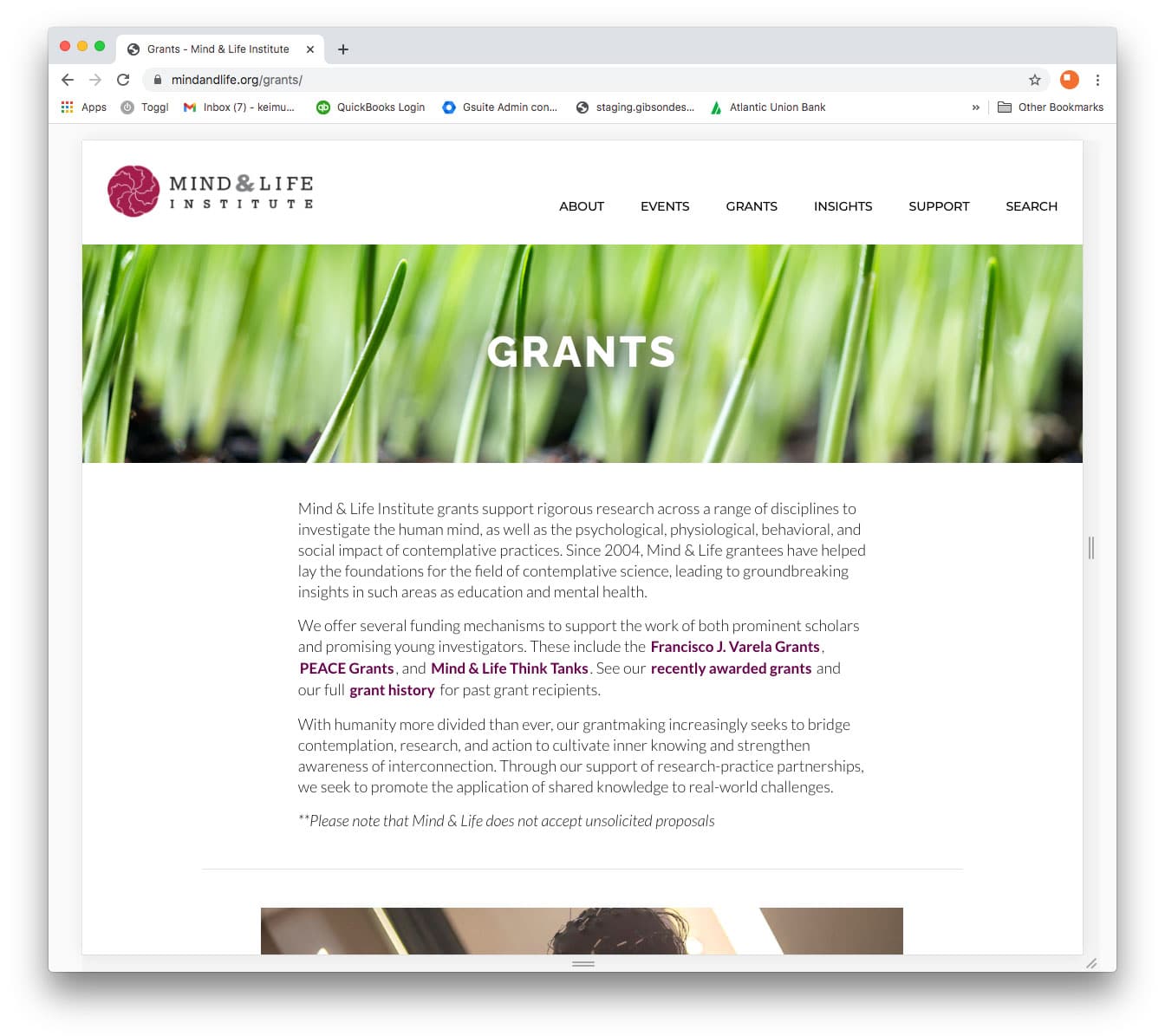 Institution website design grant page
