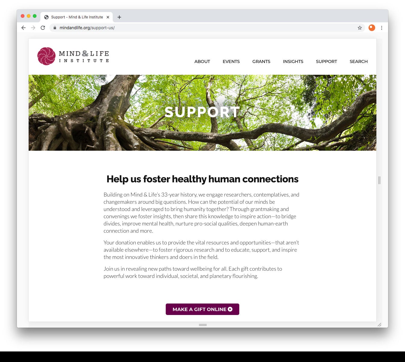 Donor website design