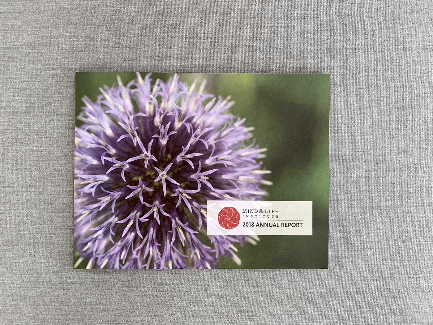 Annual report front cover design with bold purple flower