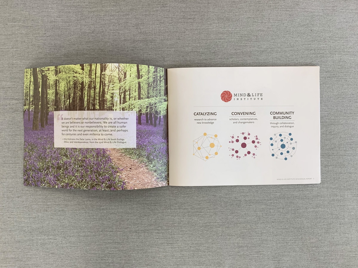 Annual report design inside spread with image and illustrations