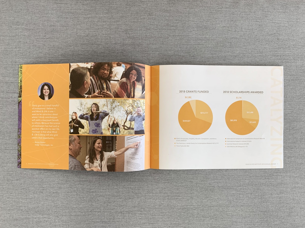 Annual report design with graphs and photos